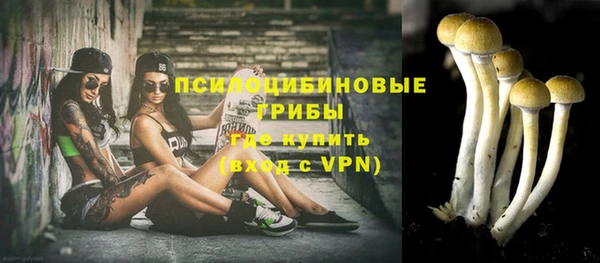 mix Няндома