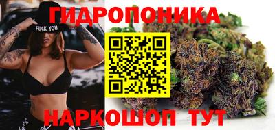 PSILOCYBIN Балаково