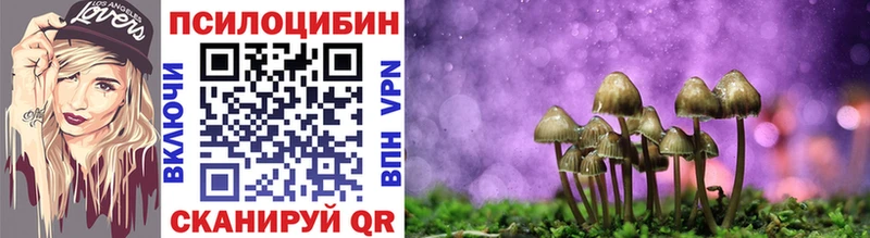Галлюциногенные грибы MAGIC MUSHROOMS  Волгоград 