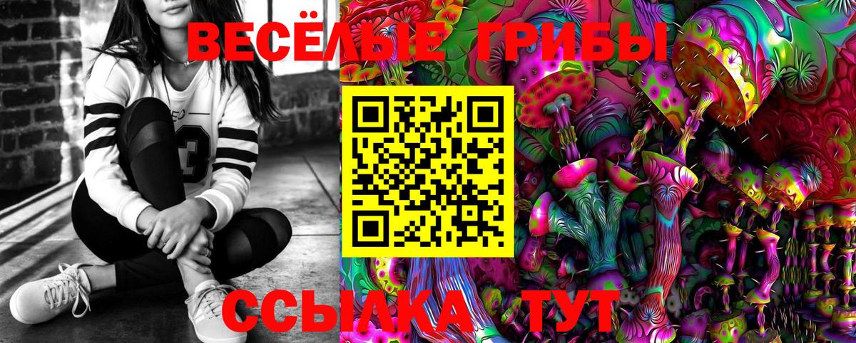 Волгоград  Псилоцибиновые грибы Psilocybine cubensis  Вход с VPN 