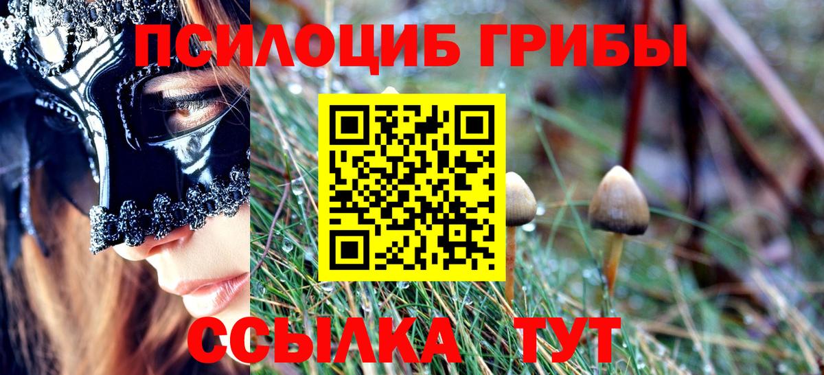 даркнет сайт  Псилоцибиновые грибы прущие грибы  Волгоград  Псилоцибиновые грибы ЛСД 